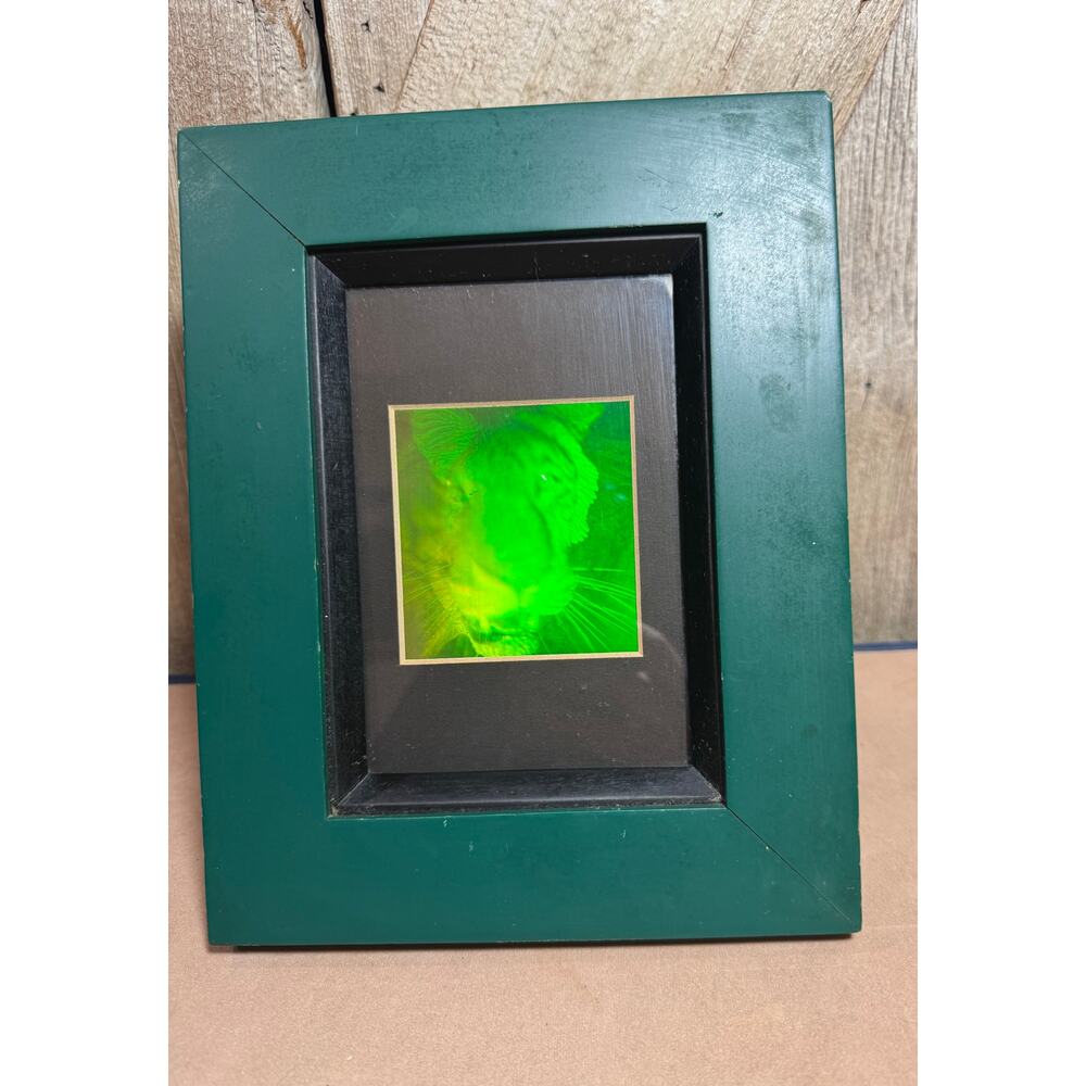 3D Jaguar 2-Channel Hologram Picture Framed Collectible Photopolymer Type Film